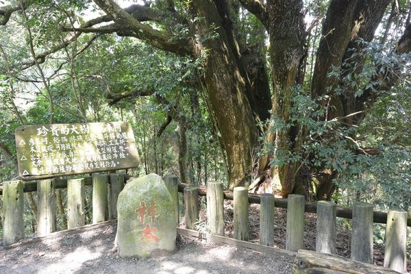 狗狗出遊〉台中東勢．東勢林場