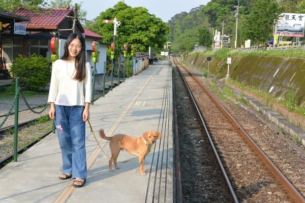 狗狗出遊〉新竹內灣．寵物推車上火車．合興車站．內灣老街