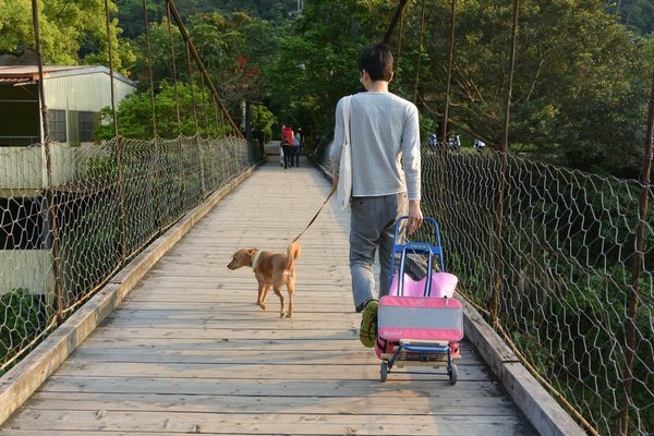 狗狗出遊〉新竹內灣．寵物推車上火車．合興車站．內灣老街