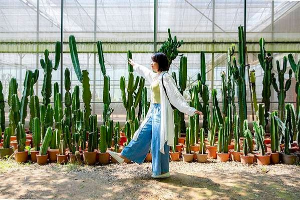 【新竹景點】福祥仙人掌植物園，超好拍根本是多肉天堂