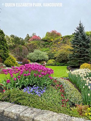 加拿大旅遊｜溫哥華市區景點懶人包，煤氣鎮、伊莉莎白女王公園等