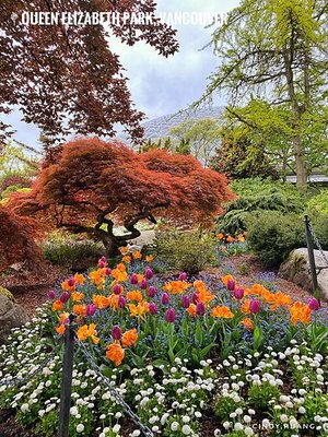 加拿大旅遊｜溫哥華市區景點懶人包，煤氣鎮、伊莉莎白女王公園等