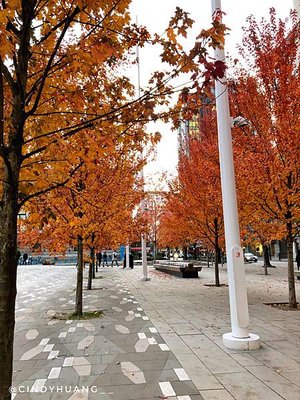 加拿大旅遊｜溫哥華市區景點懶人包，煤氣鎮、伊莉莎白女王公園等