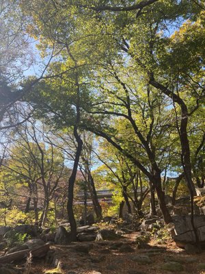 2023 釜山一週短期遊學 Day 8 山海日