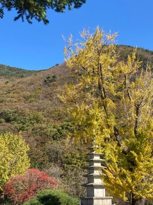 2023 釜山一週短期遊學 Day 8 山海日