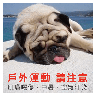 夏日炎炎