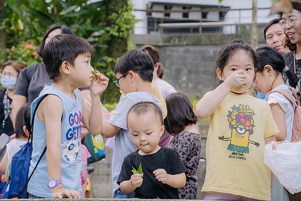 FAA04037圖說：孩子們聞聞不同葉子的味道。