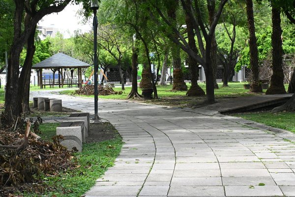 【高雄仁武】灣北公園｜灣北住宅區的森林公園，都市鳥類聚集的地