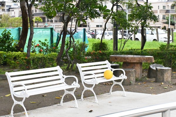 【高雄仁武】灣北公園｜灣北住宅區的森林公園，都市鳥類聚集的地