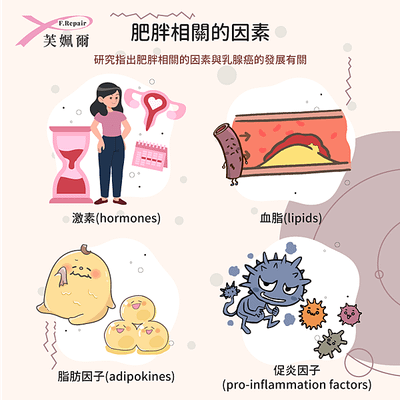 肥胖相關的因素,肥胖,乳腺癌,激素,hormones,血脂,lipids,脂肪因子,adipokines,促炎因子,pro-inflammation factors,乳腺癌的發展