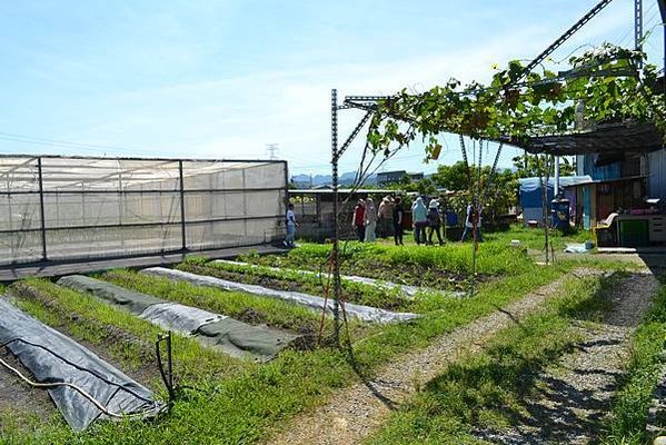 藍鵲自然農園