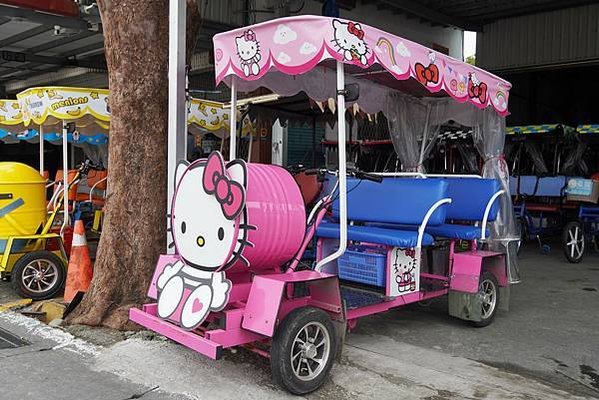 台東景點推薦｜台東伯朗大道幾月去？藍霆自行車出租 稻田間騎行
