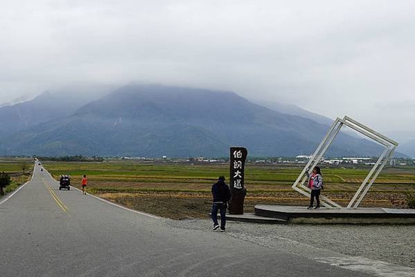 台東景點推薦｜台東伯朗大道幾月去？藍霆自行車出租 稻田間騎行