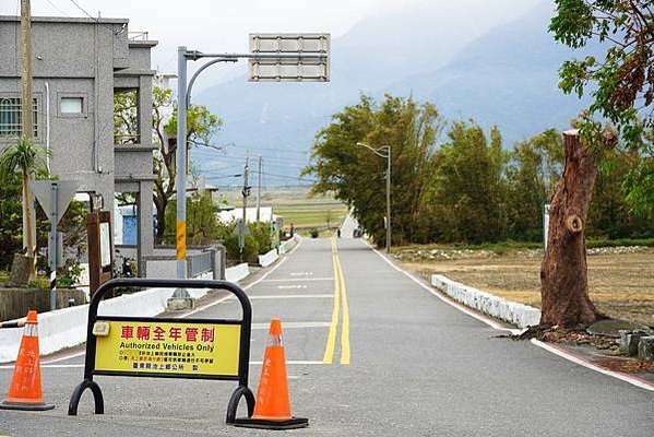 台東景點推薦｜台東伯朗大道幾月去？藍霆自行車出租 稻田間騎行
