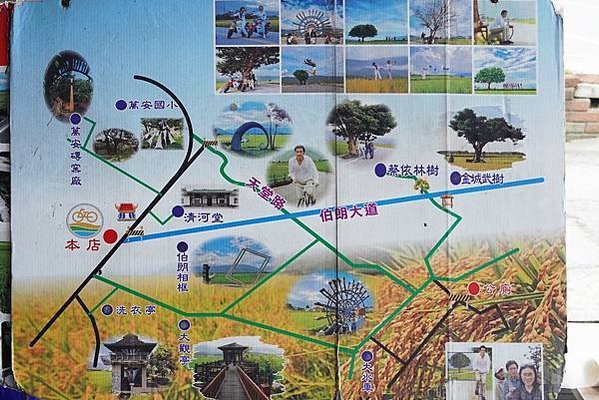 台東景點推薦｜台東伯朗大道幾月去？藍霆自行車出租 稻田間騎行