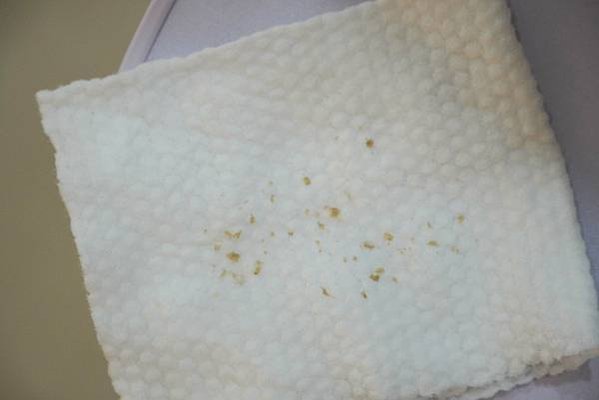 台中護膚推薦｜洗臉貓 台中南屯店「孔夫仔泡沖」深層清潔、無痛