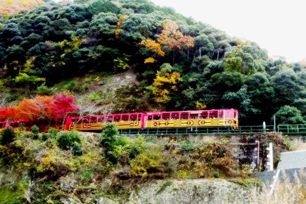 嵐山嵯峨野 紅葉繪卷