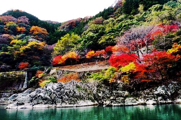 嵐山嵯峨野 紅葉繪卷