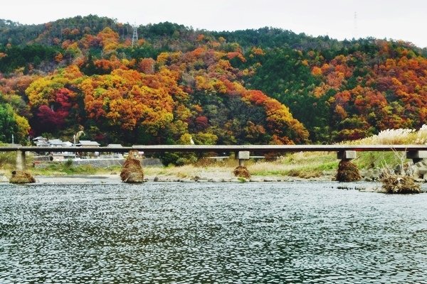 嵐山嵯峨野 紅葉繪卷