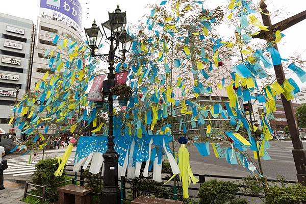 仙台七夕祭 不朽的愛情神話