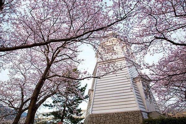 【賞櫻】  鳥取城跡  米子城跡  鹿野城跡......