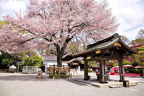 神奈川賞花名勝
