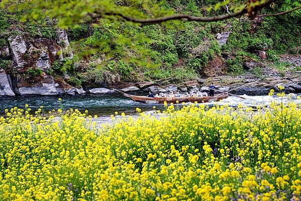 長瀞荒川漂流 賞楓