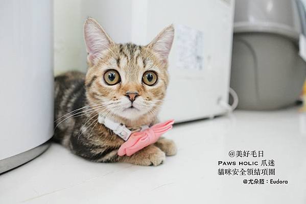P1070255