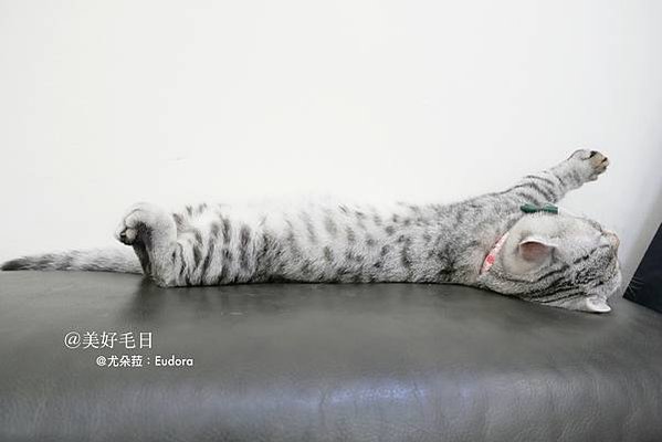 P1070100