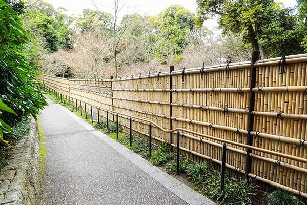 peaceful-path-outdoors