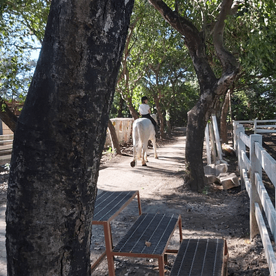 鯤喜灣親水公園 台南親水公園 台南南區親水公園 海邊 台南 遛狗 台南市立馬術場 台南馬場 馬