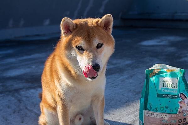 自然邏輯100%天然糧｜給狗狗最接近鮮食的飼料，DFA五星推