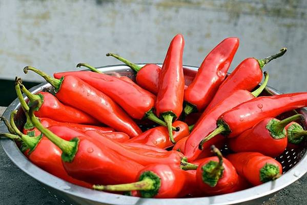 red-chili-4965938_1920