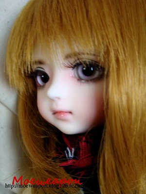 Coustom house AI Sunny