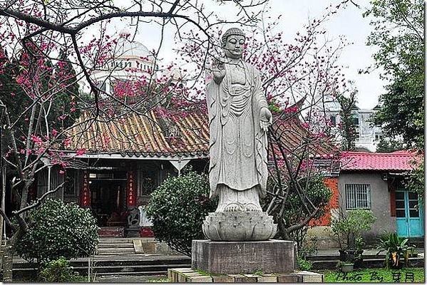 楊梅麟鳳宮-回善寺建於西元1900年-坐落於二重溪庄內-馬天