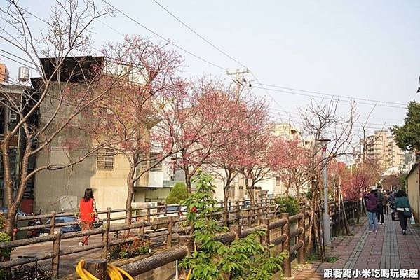 新竹市汀甫圳引頭前溪水，流經十八尖山、香山入海，目前仍肩負重