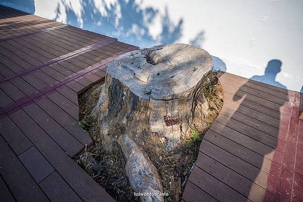 白沙岬燈塔（1898年建）國定古蹟-1901年啟用-塔身為雙
