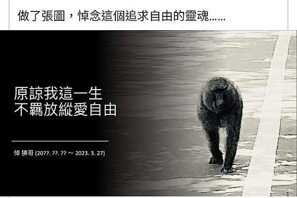 誤以為帶獵槍合法 原民被抓-獵槍並未送驗登記，最後還是被依違