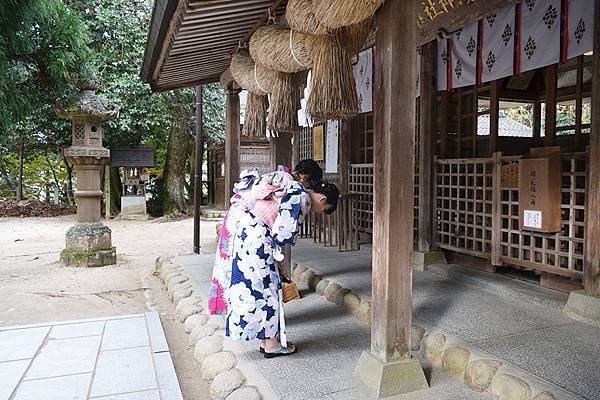 出雲大社「結良緣」聞名：求良緣必訪結緣神社-神社境內的兔子雕