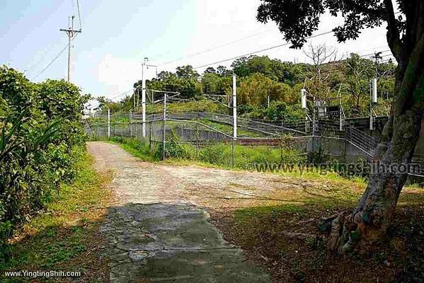 新竹市最高齡的老樹〔開山伯公三百年老樟樹〕風空開山伯公(金山