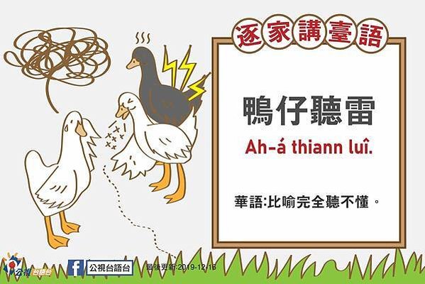 鴨子聽雷/鴨子避雨/鴨仔聽雷指鴨子聽到雷聲，並不知道是怎麼回