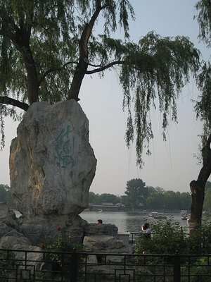 IMG_7502.JPG