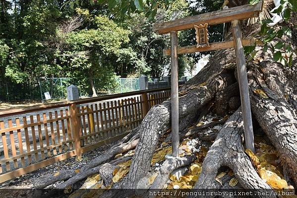 【大阪景點】日本最美御守！從市區出發輕鬆抵達的大鳥神社