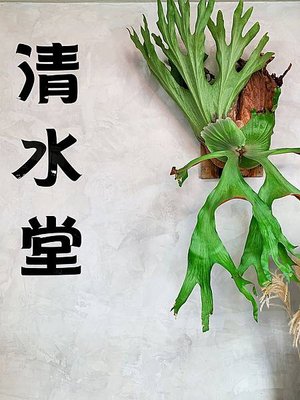 台南中西區│清水堂古早味冰：賣的不是愛玉而是一碗幸福的味道-店外網美拍照區