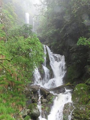 與大雪山森林的初相遇