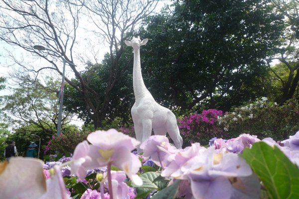 大安森林公園