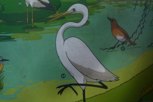 大安森林公園