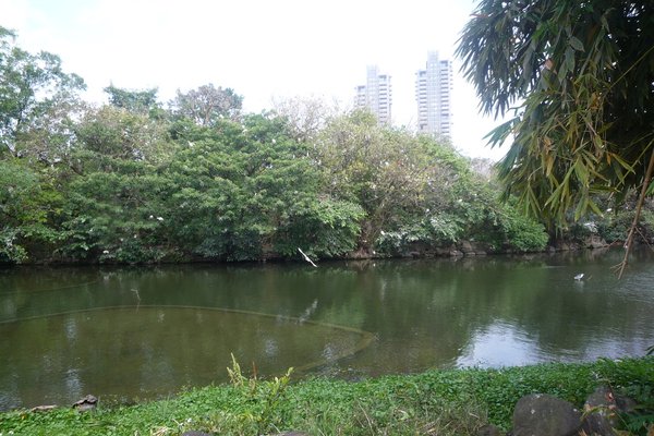 大安森林公園