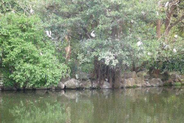 大安森林公園