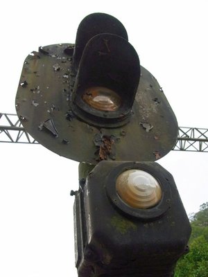 23.JPG
